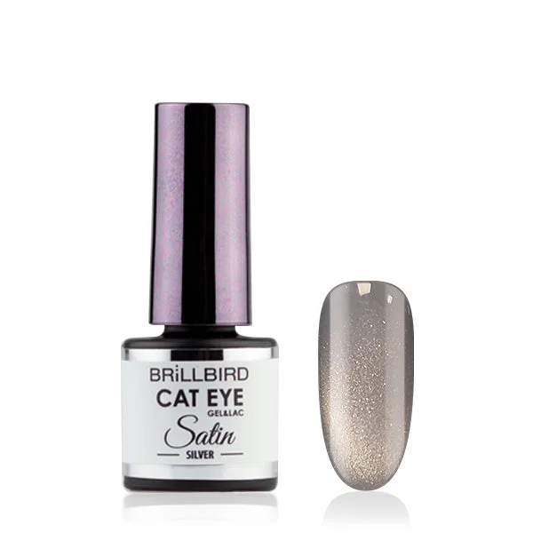 Nail art decoration honk-Cat eye satin - Silver