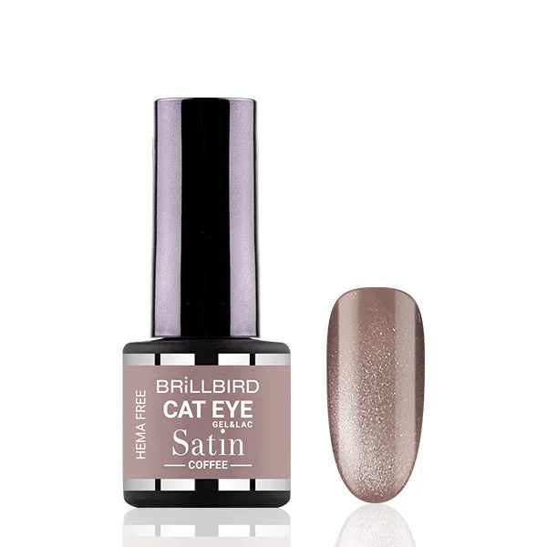 Nail art decoration screech-Cat eye satin - Coffee Hema free